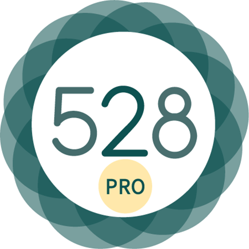 528 Player Pro v41.51 MOD APK (PAID/Patched)