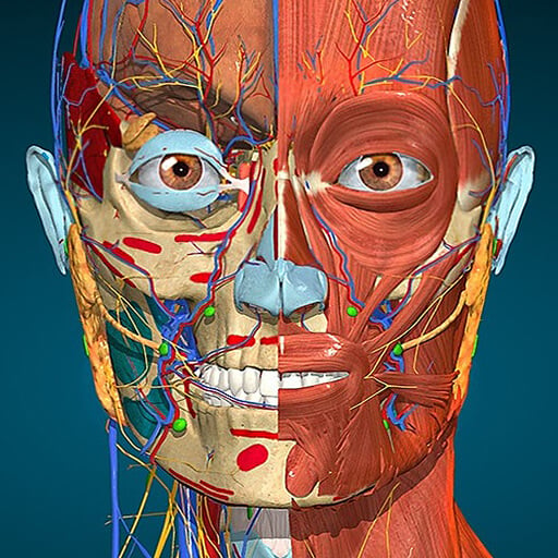 Anatomy Learning - 3D Anatomy v2.1.431 MOD APK (Full version Unlocked)