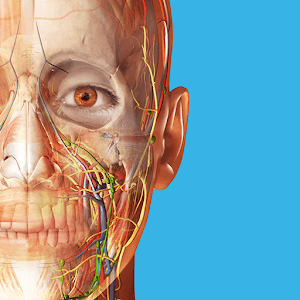 Human Anatomy Atlas 2024 v2025.00.012 MOD APK (All Unlocked)