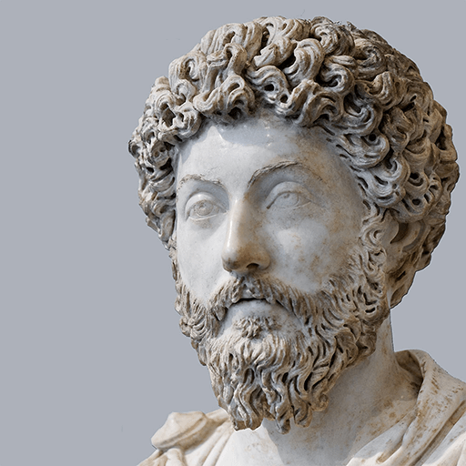 The Stoic v4.0.13 MOD APK (Premium Unlocked)