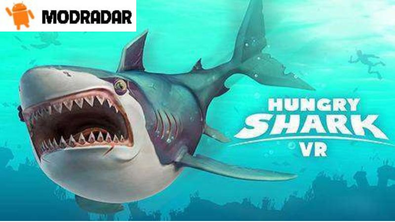Hungry Shark Vr